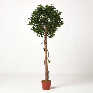 Homescapes Green 4ft Ficus Topiary Artificial Tree with Pot, 125 cm