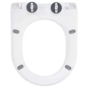 Soft-close Toilet Seat with Quick-release Design White