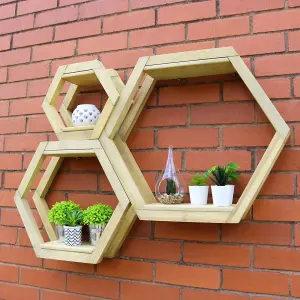 Zest Honeycomb Shelf Set Of 3 Hexagonal Indoor Outdoor Garden Plant Shelves