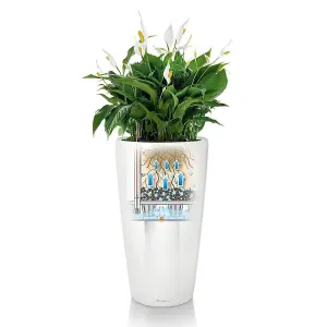 LECHUZA RONDO 56cm Tall Planter, White Self-watering Large Plant Pot with Substrate and Water Level Indicator D32 H56 cm, 13L