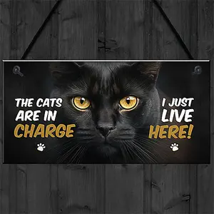 Red Ocean Funny Joke The Cats Are In Charge Cat Gifts For Cat Lovers Hanging Wall Sign Pet Gifts Pet Signs