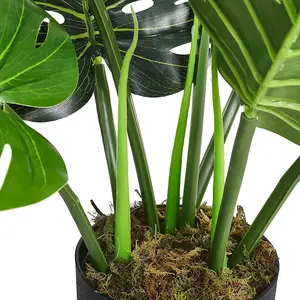 Garden Decoration Tropical Monstera Tree in Pot 65 cm