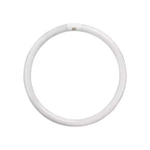 Crompton Lamps Fluorescent T9 Circular 60W 4-Pin Cool White FC60W/840