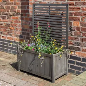 Rectangular Garden Planter and Trellis (2.5ft x 1.5ft)