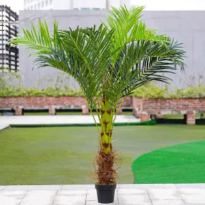 180cm H Garden Decoration Artificial Green Palm Tree with Plastic Flowerpot