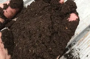 Wormganix 1 Litre Bucket Premium Worm Castings Vermicompost Organic Moist Fresh