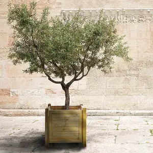 Cerland Iberia Olive Tree Planter - 1m x 1m x 1m 63kg - Premium Modern Planter for Trees & Exotics