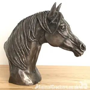 Arab Horse Head figurine in solid cold cast bronze designed by Harriet Glen