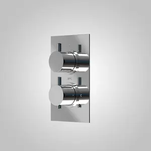 Teslie 2 Way Concealed Thermostatic Shower Mixer Head Handset