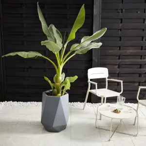 Verve Gardon Light grey Fibreclay Plant pot (Dia) 40cm, (H)58cm, 57L