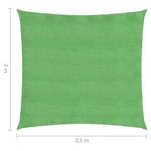 Berkfield Sunshade Sail 160 g/m2 Light Green 2x2.5 m HDPE