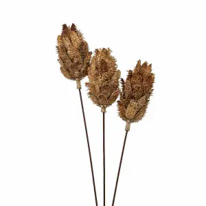 Bouquet of Dried Protea Artificial Plant - L12 x W12 x H60 cm