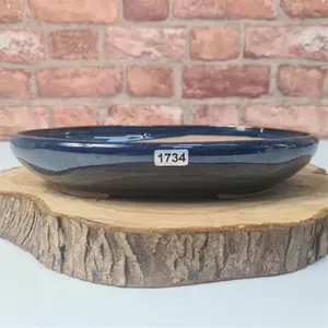 31cm Glazed Bonsai Pot - Oval - 31cm x 22cm x 4.5cm - Blue