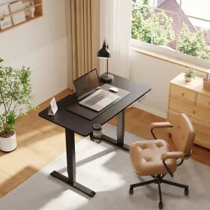 FlexiSpot Adjustable Standing Desk in Black with Practical Hook, Cable Management, and Sit-Stand Function for Home Office