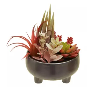 Fiori Mixed Succulents In Grey Ceramic Pot Artificial Plant Foliage