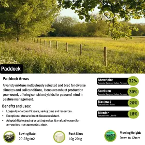 Pegdev - PDL - Paddock Grass Seed: Resilient, Versatile, and High-Yielding (2.5kg)