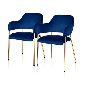 Aedon Upholstered Dining Chair (Set of 2) Blue