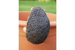 A decorative Hedgehog Pot Hanger Ornament