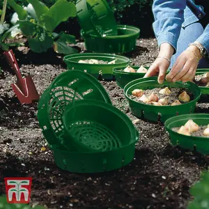 Flower Bulb Planting Baskets - 15 pack