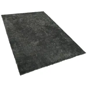 Shaggy Area Rug 200 x 300 cm Dark Grey EVREN