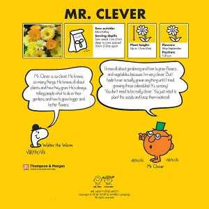 Mr. Men™ Little Miss™ - Mr. Clever - Calendula Fruit Twist 1 Packet (60 Seeds)