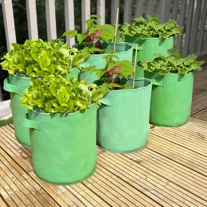 Potato & Vegetable Planter Grow Bags (Set of 6) Non Woven Aeration Fabric Pots