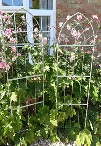 Pair of Verdigris Arched Trellis