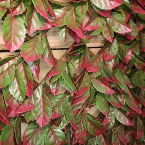 100cm x 200cm Artificial Fence Garden Trellis Privacy Screening Indoor Outdoor Wall Panel   Red Beech Leaf