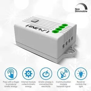 1000W Receiver for Non Dimmable PRO SERIES Wireless Switch