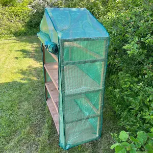 Extra Wide 4 Tier Wooden Mini Greenhouse with Reinforced Cover