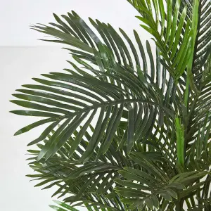 Homescapes Multi Stem Green Palm Tree in Pot, 180 cm