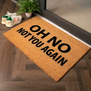 Not You Again Country Size Coir Doormat