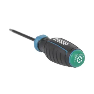 Erbauer Standard Security TX Screwdriver TX20 x 100mm