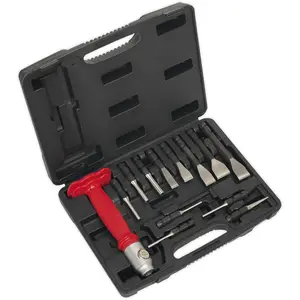 Premium 13 Piece Interchangeable Punch and Chisel Set with Storage Case and Hammer-Thru Grip