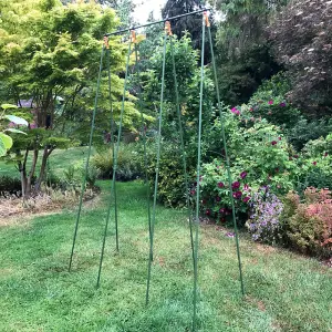 GardenSkill Bean Buddy Heavy Duty Runner Bean Frame & Climbing Plant Support Grow House 1.2x2.4m H