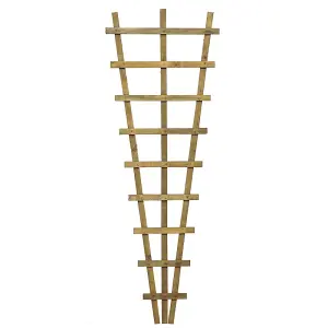 Heavy Duty Fan Trellis Pressure Treated (Pack of 3) - L67 x W67 x H183 cm