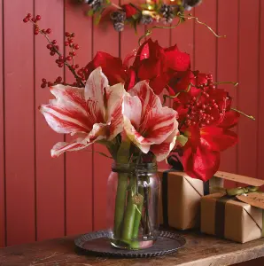 Bloom Artificial Amaryllis and Berry Arrangement in Vase - Faux Realistic Flower Centrepiece Floral Home Decoration - H40 x W30cm