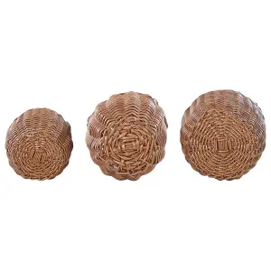 Set of 3 Plant Pots AUCUBA PE Rattan Light Brown