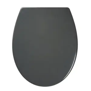 GoodHome Diani Grey Round Soft close Toilet seat