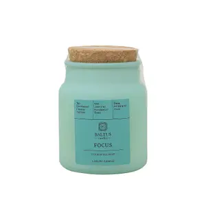 Scented Candle 152g Apothecary Jar FOCUS Eucalyptus Mint Aroma Air Freshener