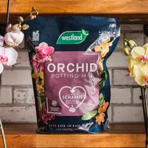 Westland Peat-free Orchid Compost 4L