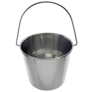 SPARES2GO 12 Litre Stainless Steel Handled Pail Bucket (Silver)