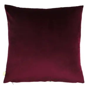 Evans Lichfield Midnight Garden Velvet Piped Feather Filled Cushion