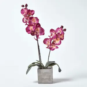 Homescapes Set of 2 Artificial Burgundy & Cream Orchids in Stone Pots, 57 cm