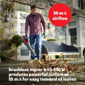 Mountfield MBL50Li Cordless Blower Kit