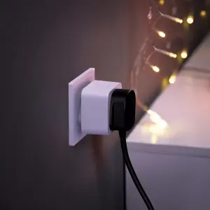 Philips Hue Smart Plug Mains fed