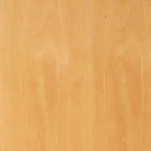 Beech Veneered Flush Internal Fire Door