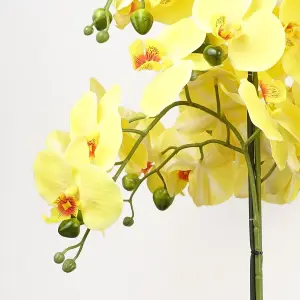 60cm Orchid Yellow - Black Ceramic Planter