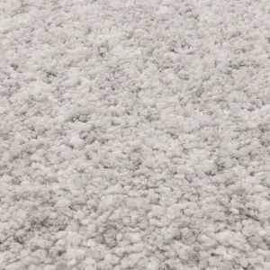 Silver Luxurious , Modern , Plain , Shaggy Easy to Clean Rug for Living Room, Bedroom - 200cm X 290cm