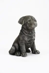 Rottweiler Puppy Stone Cast Ornament